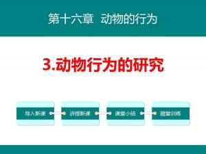 《动物行为的研究》PPT教学课件